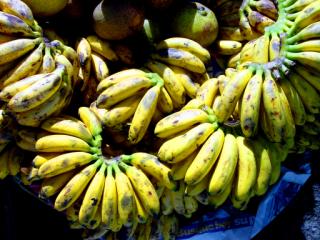 still life, Panajachel, Lake Atitlan, Guatemala