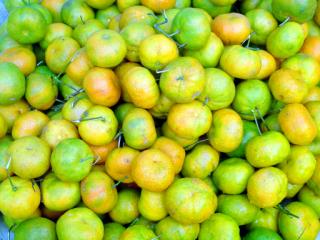 still life, Panajachel, Lake Atitlan, Guatemala